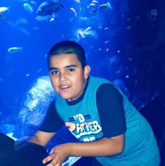 Meet your Posher, Jose - Picture 1 of 1